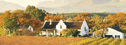 The Cape Winelands